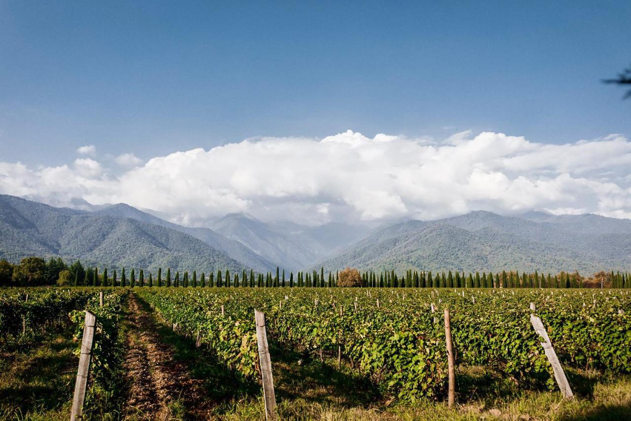 Chateau Artwine Art'ana Экстерьер фото